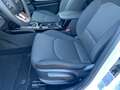 Kia Ceed SW / cee'd SW Ceed SW 1.5 T-GDI DCT7  Vision Navi Komfort+ ACC N Blanc - thumbnail 20