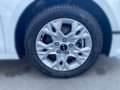 Kia Ceed SW / cee'd SW Ceed SW 1.5 T-GDI DCT7  Vision Navi Komfort+ ACC N Blanc - thumbnail 8