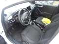 Ford Puma 1.5 Ecoblue Titanium 120 Blanco - thumbnail 6