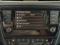 Skoda Octavia Combi 2,0 TDI 4x4 Scout DSG  | 1.BESITZ | PICKE... Grau - thumbnail 15
