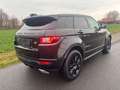 Land Rover Range Rover Evoque 2,0D aut AWD-Pano-Netto 12560 Schwarz - thumbnail 5
