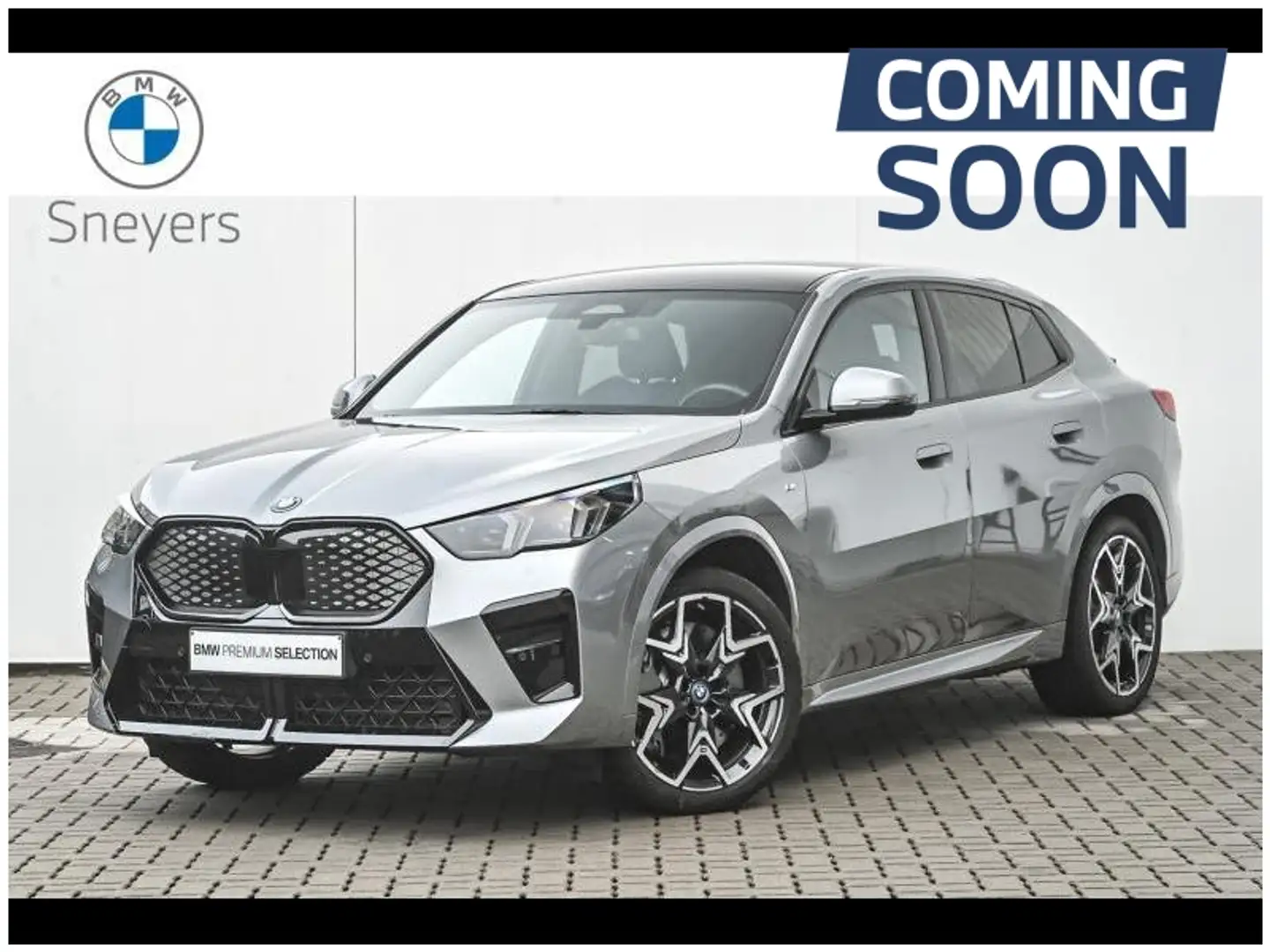 BMW iX2 30 Silber - 1