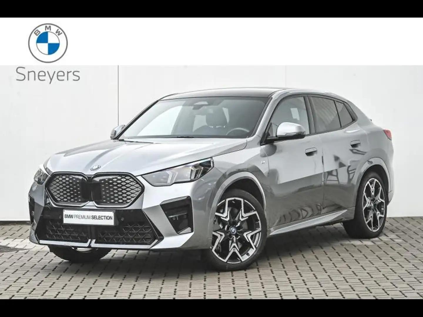 BMW iX2 30 Silber - 2