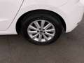 SEAT Ibiza 1.0 TSI Style Aut LED SKY NAVI SITZHZG PDC Weiß - thumbnail 25