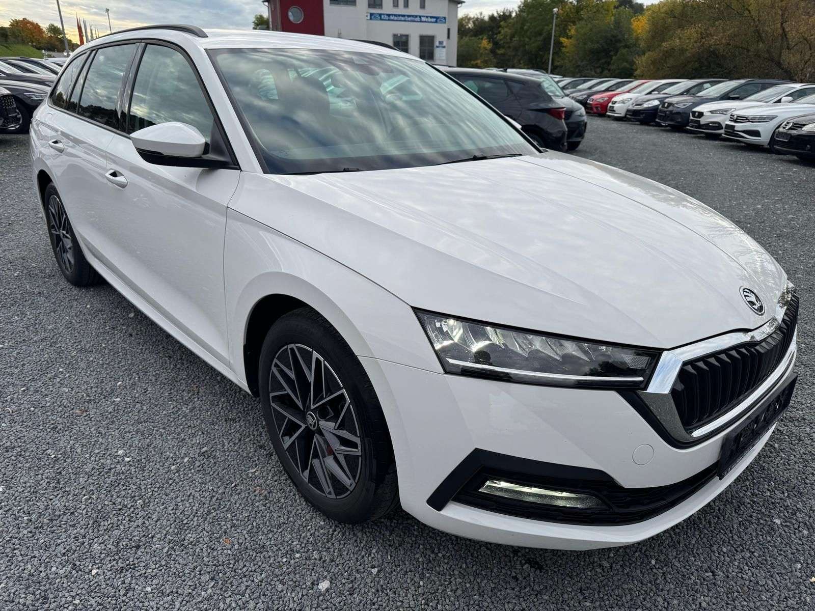 Skoda Octavia occasion