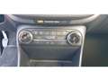 Ford Fiesta Active 1.0 EcoBoost MHEV NAVI ACC DAB Blau - thumbnail 22