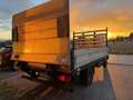 Nissan Cabstar Cabstar 35,13. 3,0 TD Weiß - thumbnail 5