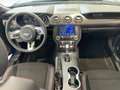 Ford Mustang 5.0 Ti-VCT V8 Convertible GT Leder Leder Blauw - thumbnail 10
