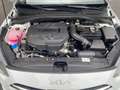 Kia Ceed / cee'd Ceed 1.6 CRDi 48V DCT7 Vision Komfort+ ACC Navi FL Blanc - thumbnail 24