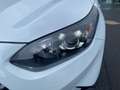Kia Ceed / cee'd Ceed 1.6 CRDi 48V DCT7 Vision Komfort+ ACC Navi FL Blanc - thumbnail 17