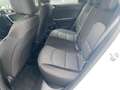 Kia Ceed / cee'd Ceed 1.6 CRDi 48V DCT7 Vision Komfort+ ACC Navi FL Blanc - thumbnail 13