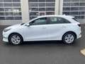Kia Ceed / cee'd Ceed 1.6 CRDi 48V DCT7 Vision Komfort+ ACC Navi FL Weiß - thumbnail 22