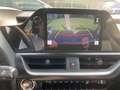 Lexus UX 250h Brons - thumbnail 9