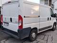 Peugeot Boxer L1 H1 BlueHDI 140 S&S IVA ESCLUSA White - thumbnail 3