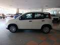 Fiat Panda 1.0 FireFly S&S Hybrid Bianco - thumbnail 3