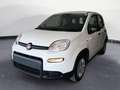 Fiat Panda 1.0 FireFly S&S Hybrid Bianco - thumbnail 1