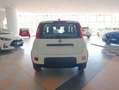 Fiat Panda 1.0 FireFly S&S Hybrid Bianco - thumbnail 4