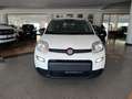 Fiat Panda 1.0 FireFly S&S Hybrid Bianco - thumbnail 2