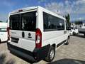 Fiat Ducato 2.3 MJT PANORAMA 9 POSTI 140CV PC-TN Bianco - thumbnail 5
