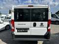Fiat Ducato 2.3 MJT PANORAMA 9 POSTI 140CV PC-TN Bianco - thumbnail 6