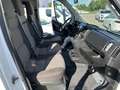 Fiat Ducato 2.3 MJT PANORAMA 9 POSTI 140CV PC-TN Bianco - thumbnail 11