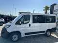 Fiat Ducato 2.3 MJT PANORAMA 9 POSTI 140CV PC-TN Bianco - thumbnail 8