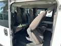 Fiat Ducato 2.3 MJT PANORAMA 9 POSTI 140CV PC-TN Bianco - thumbnail 13