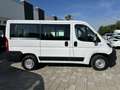 Fiat Ducato 2.3 MJT PANORAMA 9 POSTI 140CV PC-TN Bianco - thumbnail 4