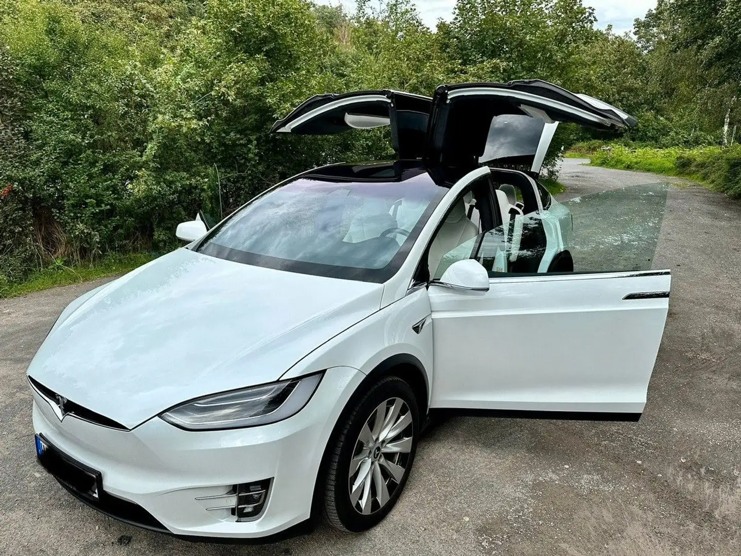 Tesla Model X Long Range Premium-UpgradepaketAutopilot Белый - 1