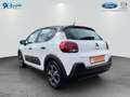 Citroen C3 Pure Tech 83 S&S SHINE Bianco - thumbnail 4