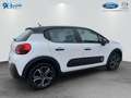 Citroen C3 Pure Tech 83 S&S SHINE Bianco - thumbnail 6