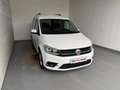 Volkswagen Caddy Austria Plus TDI 4MOTION Weiß - thumbnail 3