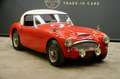Austin-Healey 3000 MKII "Rallye" Trade-in car Older restoration and p Rood - thumbnail 32