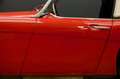 Austin-Healey 3000 MKII "Rallye" Trade-in car Older restoration and p Rood - thumbnail 16