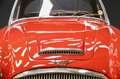 Austin-Healey 3000 MKII "Rallye" Trade-in car Older restoration and p Rood - thumbnail 24