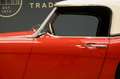 Austin-Healey 3000 MKII "Rallye" Trade-in car Older restoration and p Rood - thumbnail 14