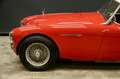 Austin-Healey 3000 MKII "Rallye" Trade-in car Older restoration and p Rood - thumbnail 10