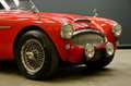 Austin-Healey 3000 MKII "Rallye" Trade-in car Older restoration and p Rood - thumbnail 36