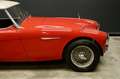 Austin-Healey 3000 MKII "Rallye" Trade-in car Older restoration and p Rood - thumbnail 41