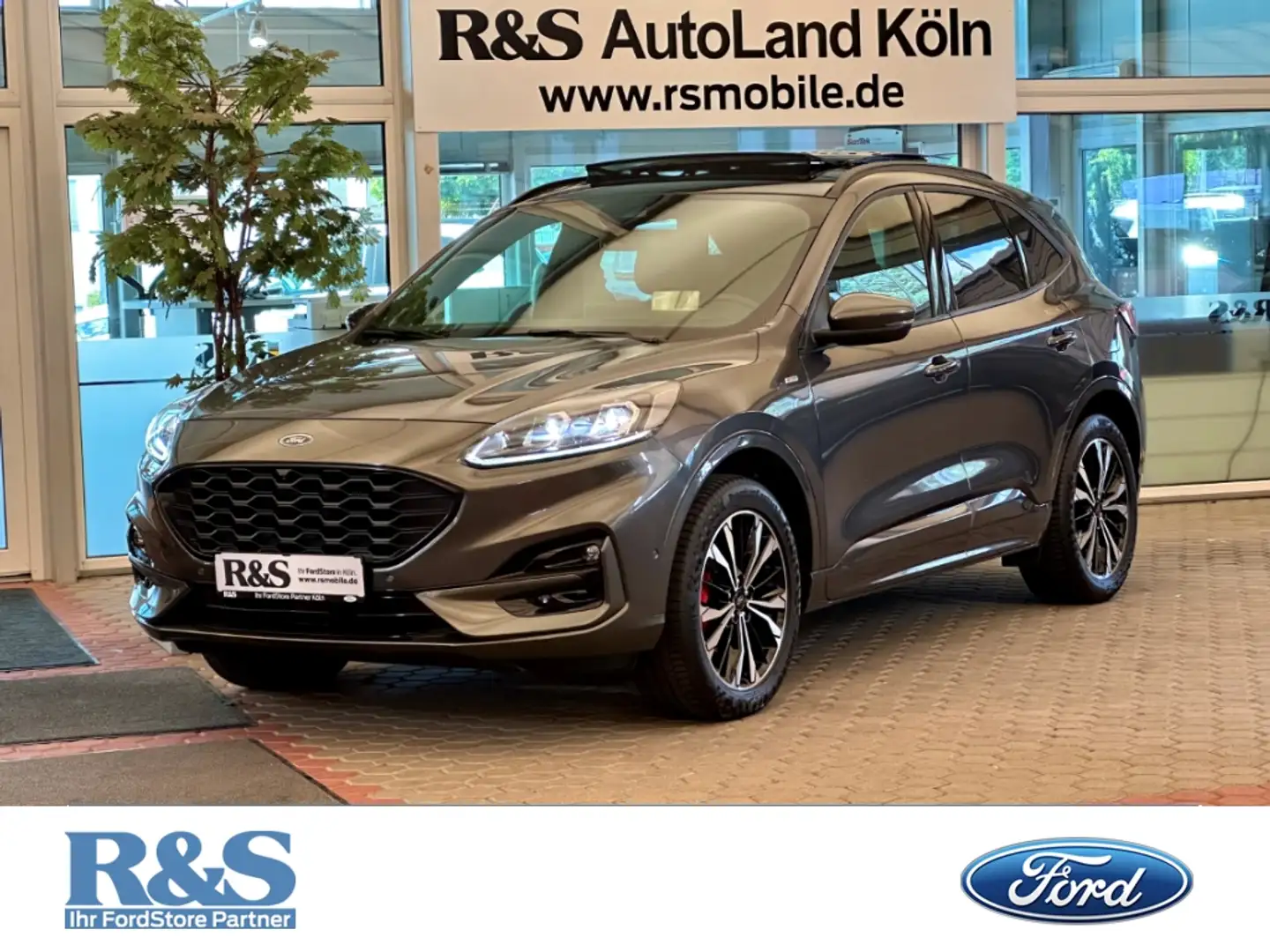 Ford Kuga ST-Line+Automatik+Pano+Navi+Head-Up+Kamera Grijs - 1