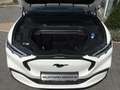 Ford Mustang Mach-E Standard Range Weiß - thumbnail 6