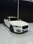 Jaguar XE 2.0 Diesel Prestige Aut. 180 Weiß - thumbnail 7