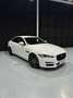 Jaguar XE 2.0 Diesel Prestige Aut. 180 Weiß - thumbnail 3