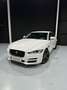 Jaguar XE 2.0 Diesel Prestige Aut. 180 Weiß - thumbnail 5