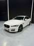 Jaguar XE 2.0 Diesel Prestige Aut. 180 Weiß - thumbnail 6
