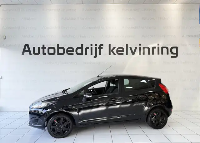 Ford Fiesta view 10