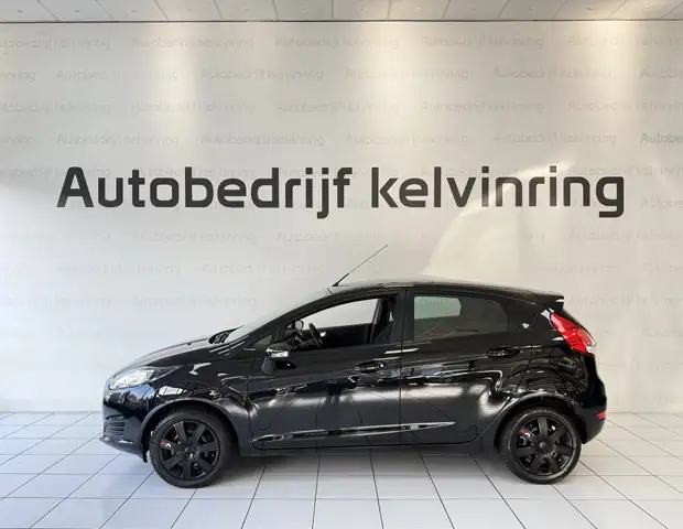 Ford Fiesta view 6