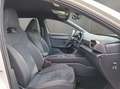 CUPRA Leon 1.5 eTSI 110 kW (150 PS) Grau - thumbnail 17