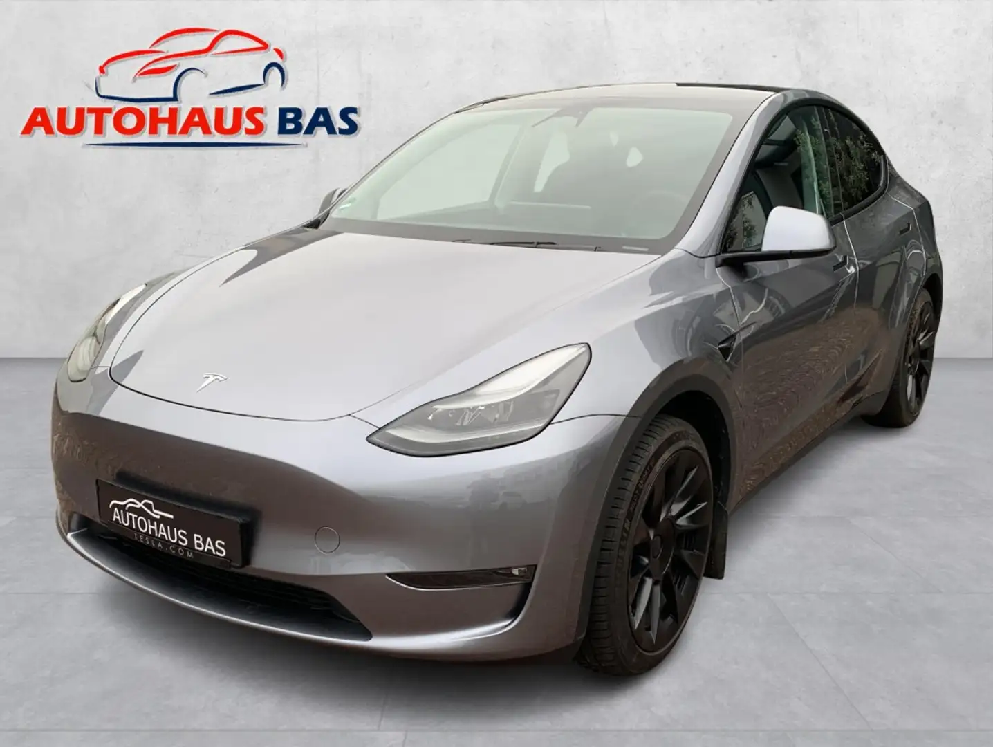 Tesla Model Y Long Range AWD* 20-Zoll * Mwst.ausweisb. Argent - 1