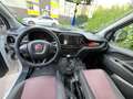 Fiat Doblo sehr gepflegt in gelber Folie Blanc - thumbnail 4